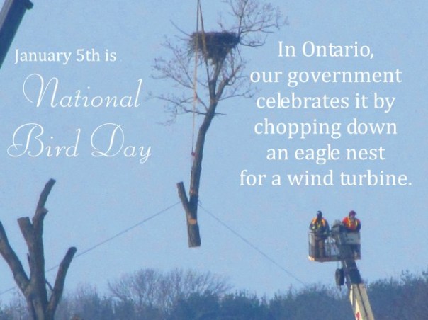 national-bird-day